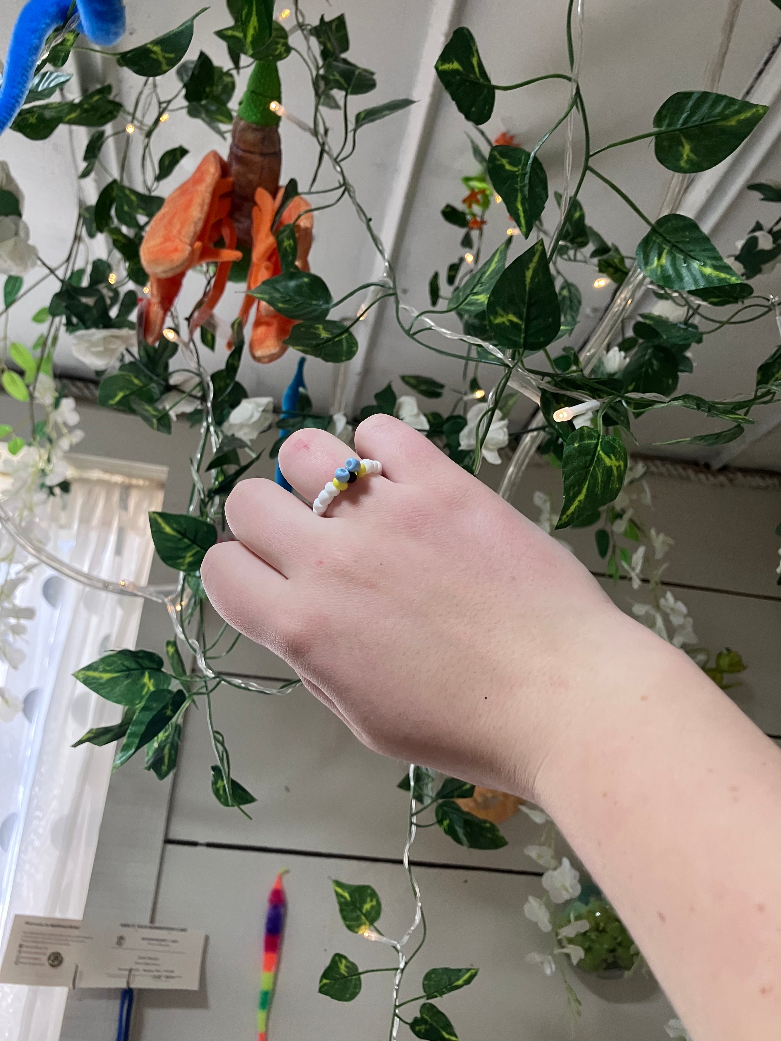 rings